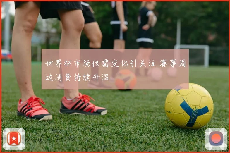 世界杯市场供需变化引关注 赛事周边消费持续升温