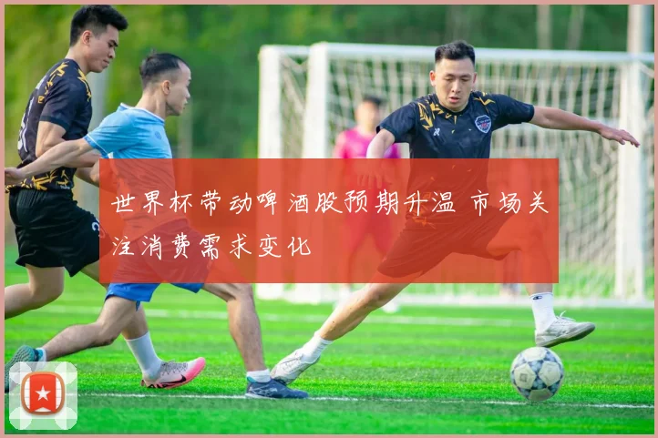 世界杯带动啤酒股预期升温 市场关注消费需求变化